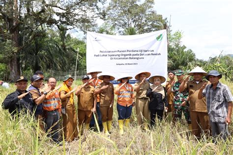 Gelar Panen Perdana Bersama Petani Ptar Sukses Kembangkan Benih Padi