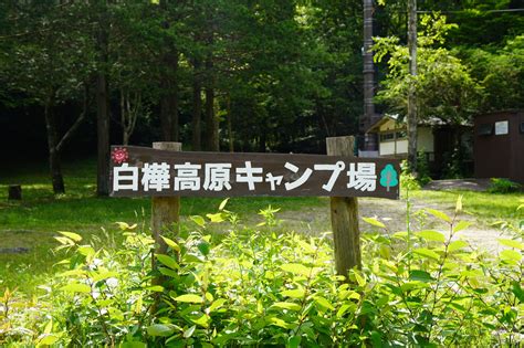 【穴場・格安】夏でも涼しい！長野県の白樺高原キャンプ場を徹底解説！ Camp On Fleek