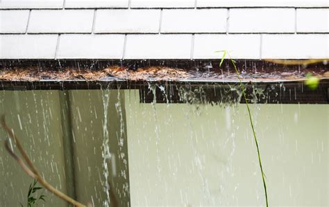 What Happens If Leaves Get Stuck In Your Gutters For Too Long