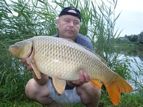 KUKUŘICE NA RYBY TOP nástraha na kapry Několik důvodů proč chytat