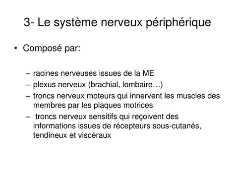 Ppt Anatomie Et S Miologie En Neurologie Powerpoint Presentation