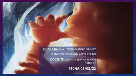 Fisiolog A Fetal Ana Castillo Udocz