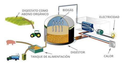 Biogas Performance With Organic Waste Amapex