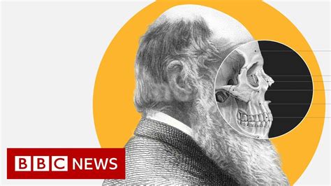 Theory Of Evolution How Did Darwin Come Up With It Bbc News Youtube