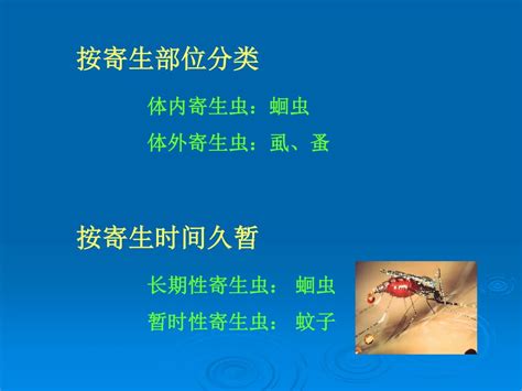 Ppt 人体寄生虫学 Human Parasitology Powerpoint Presentation Free Download