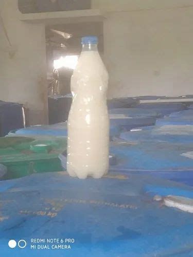 Fruit Pulp in Muzaffarpur फल क पलप मजफफरपर Latest Price