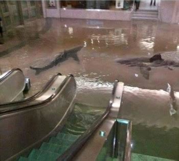 Fake Photo Photoshops Sharks in Flooded Canadian Subway Stop