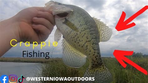 Early Fall Crappie Fishing Youtube