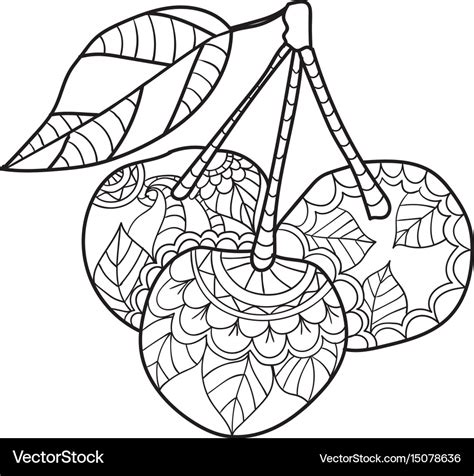 Coloring Pages For Adults Cherry Sketch Fruits Vector Image