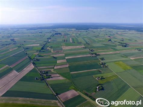 Pola Zdj Cie Fotka Foto Numer Galeria Rolnicza Agrofoto