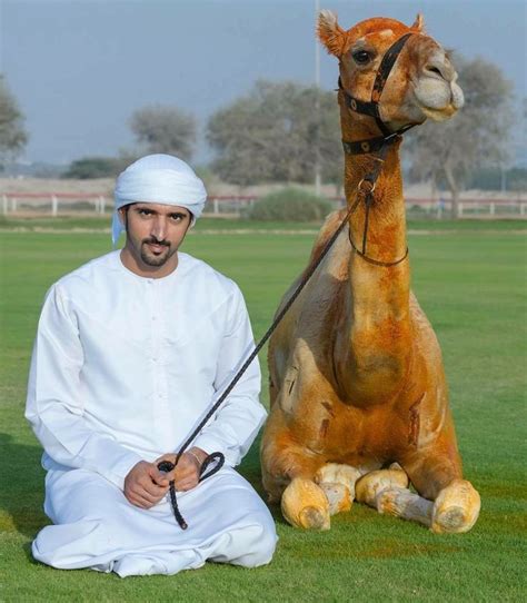 70 best images about Fazza and Animals on Pinterest | Dubai, Pets and ...