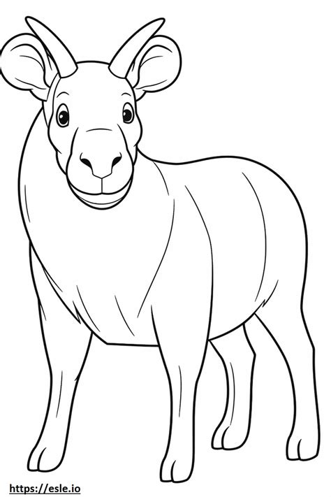 Bongo Cartoon Coloring Page