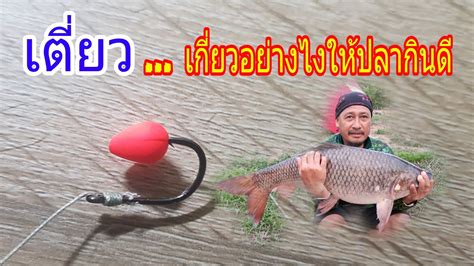 วธเกยวชนขนมปงตกปลา การเกยวเตยวคอดานสดทายของการตกปลา