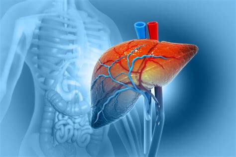 Hepatitis Gejala Penyebab Dan Cara Pencegahannya