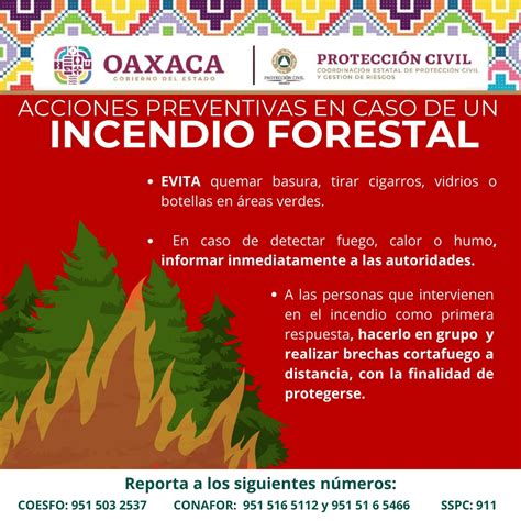 Protección Civil emite recomendaciones ante incendios forestales ORO