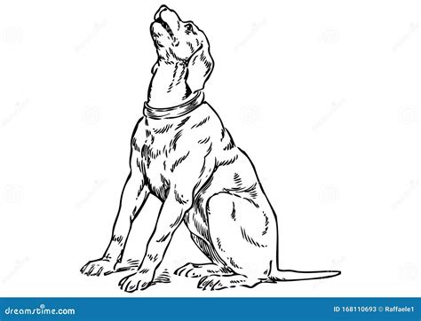 Drawing Of Barking Dog With A White Background Stock Illustration