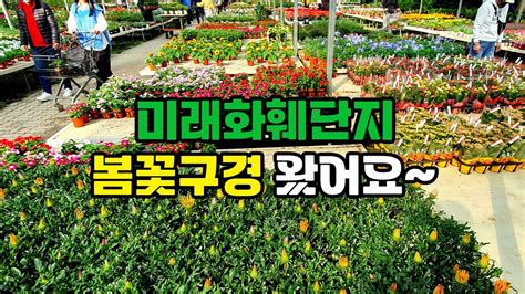 미래화훼단지 봄꽃 구경 왔어요~ 부산에서 가장 넓은 화훼단지 나들이 Youtube