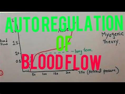 Cvs Physiology Autoregulation Of Blood Flow Metabolic Theory