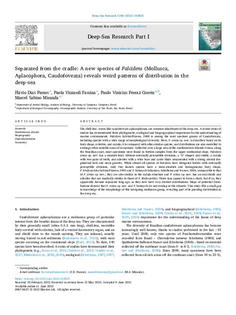 (PDF) Separated from the cradle: A new species of Falcidens (Mollusca ...