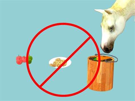 How to Feed a Horse Treats: 5 Steps (with Pictures) - wikiHow