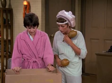 Laverne and Shirley - Laverne & Shirley Image (17497353) - Fanpop