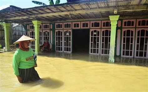 Banjir Di Purwodadi Jawa Tengah Rendam Ratusan Rumah Warga