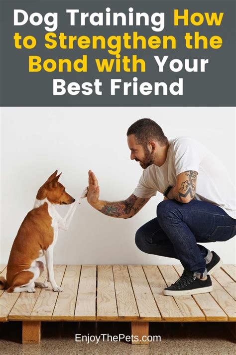 Dog Training How To Strengthen The Bond With Your Best Friend Enjoy