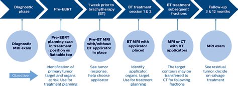 Mri Guided Brachytherapy Cervix Fieldstrength Philips