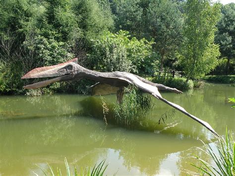 Quetzalcoatlus Pictures & Facts - The Dinosaur Database