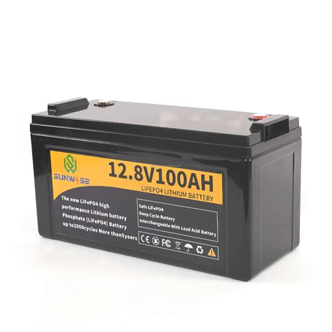 Lifepo4 12v 100ah 200ah 230ah 280ah 300ah 460ah Battery Case Lithium