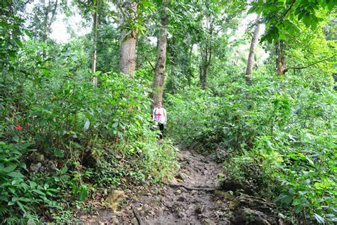 Mt Daraitan Dayhike Climb Guide A Wanderful Sole