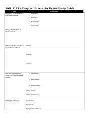 Biol Ch Studyguide Revised Docx Biol Chapter