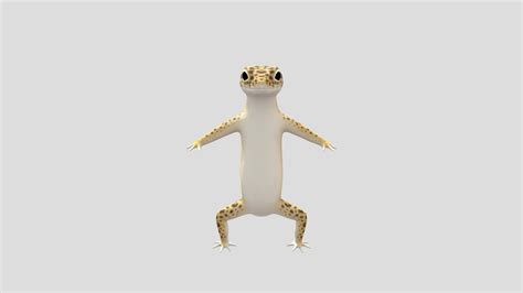 Gecko 3d Model By Witchyxr 401be85 Sketchfab