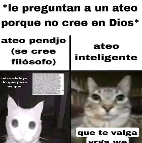 Pin de Andres Ortega en Almacenamiento rápido Chistes épicos Memes