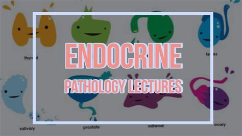 Endocrine Pathology Lecture 16 Pathogenesis Of Type 2 Diabetes Made Simple Youtube