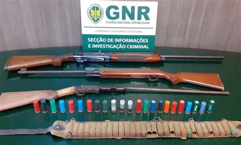 Palmela Gnr Apreendeu Tr S Armas E Cartuchos Num Processo Por