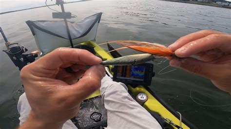 Great Summer Action Kayak Fishing The Western Sound For Fluke Porgies