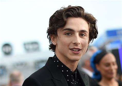 Who Does Timothée Chalamet Play In 'Little Women'?