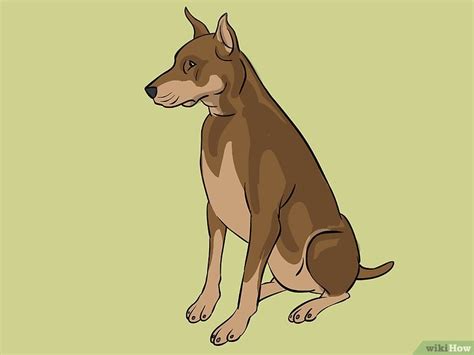 Mani Res De Dessiner Un Chien Wikihow