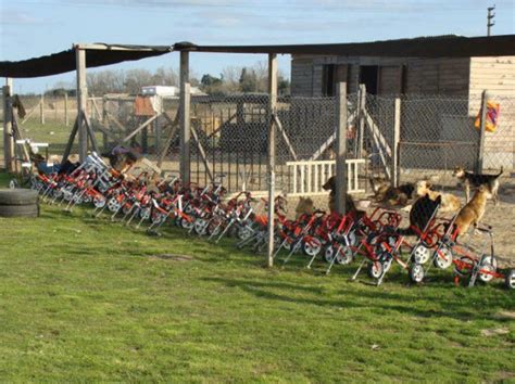 El Campito Refugio Buenos Aires Argentina