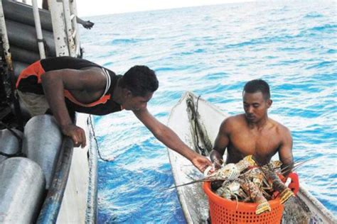 Pesca ilegal afecta economía de pescadores y destruye el ecosistema de