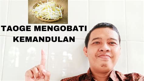 Manfaat Tauge Untuk Kesehatan Bisa Mengobati Kemandulan Tips Cepat