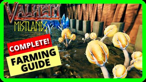 HOW TO FARM In The MISTLANDS Valheim How To YouTube