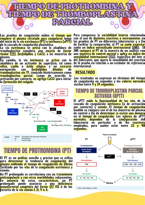 Fisiologia S Fisiolog A Tiempo De Protrombina Y Tiempo De