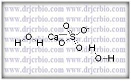 Calcium Sulfate Dihydrate Dr Jcr Bio Dr Jcr Bio