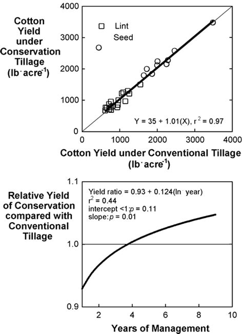 Cotton yield under conservation tillage compared with conventional ...