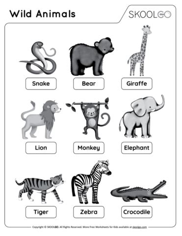 Wild Animals - Black and White Worksheet for Kids Animal Worksheets, Science Worksheets, Animal ...