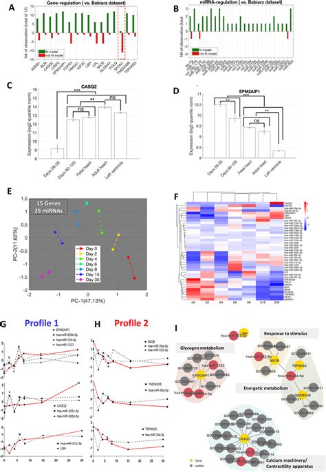 In Silico Protocol Reveals Robust Gene Signature Among Different