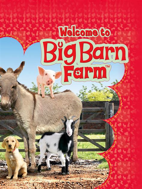 Big Barn Farm - Rotten Tomatoes