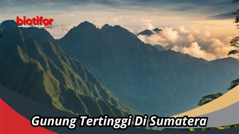 Gunung Tertinggi Di Sumatera Destinasi Pendakian Yang Menawan Biotifor